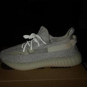 Meet your Posher, Richard